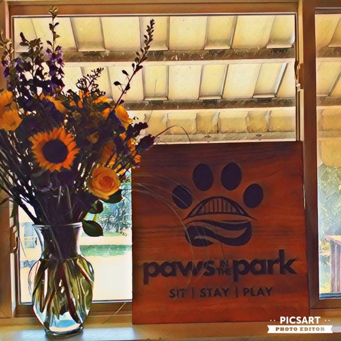 Paws in the Park